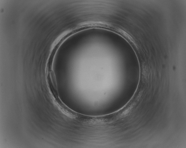 X0000078291082200611031225