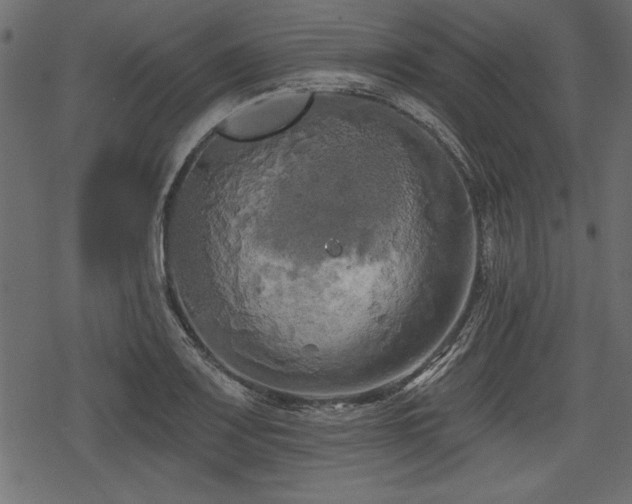 X0000078291083200611031225