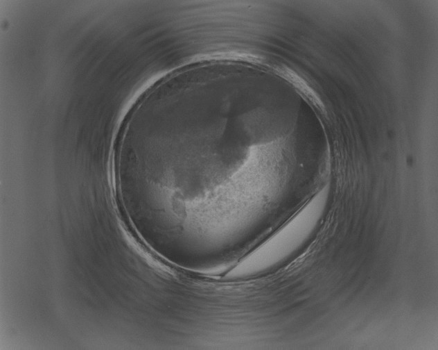 X0000078291084200611031225