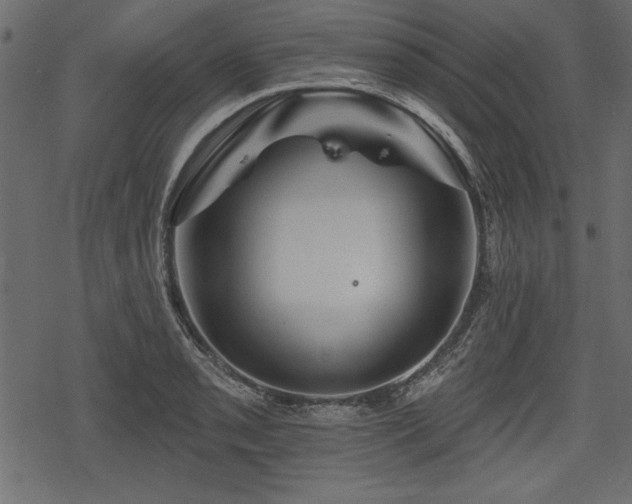 X0000078291085200611031225