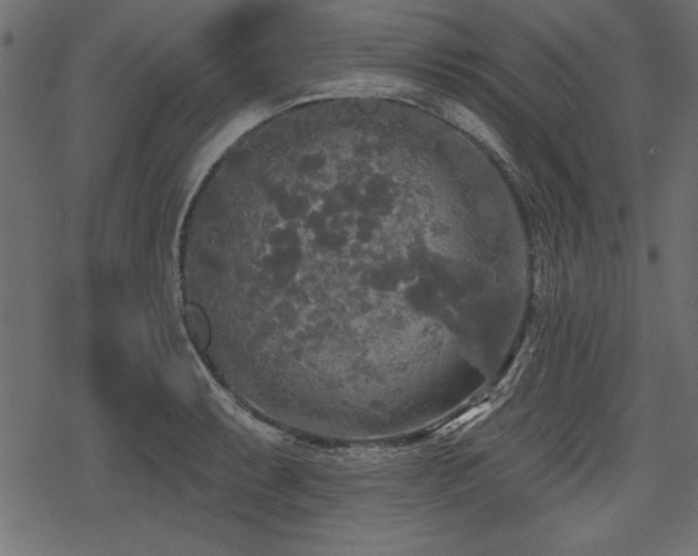 X0000078291087200611031225