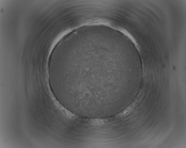 X0000078291088200611031225