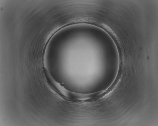 X0000078291089200611031225