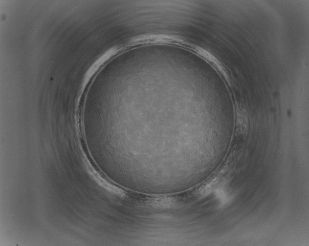 X0000078291090200611031225