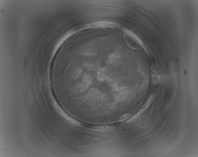 X0000078291091200611031225