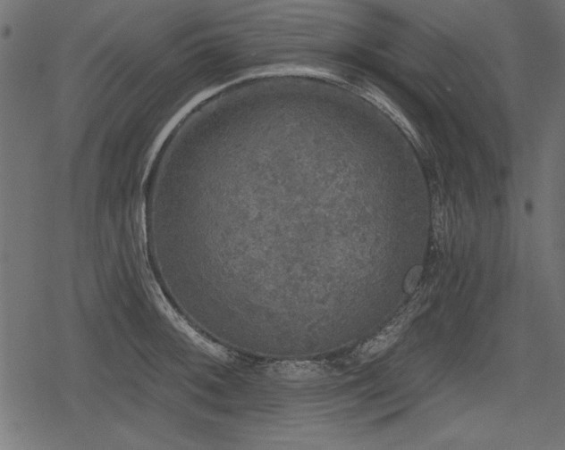 X0000078291092200611031225