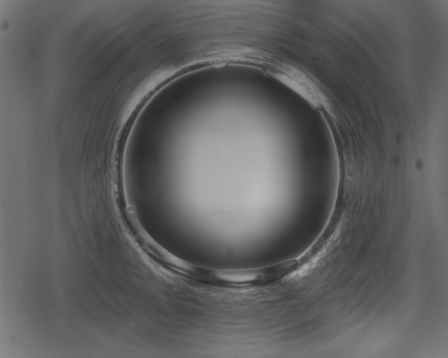 X0000078291093200611031225