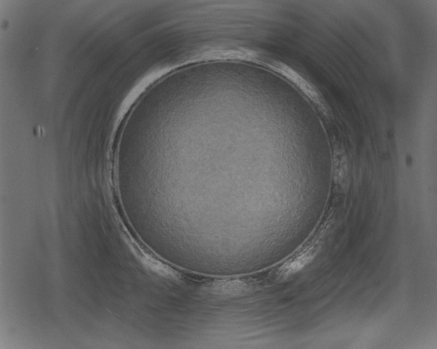 X0000078291094200611031225