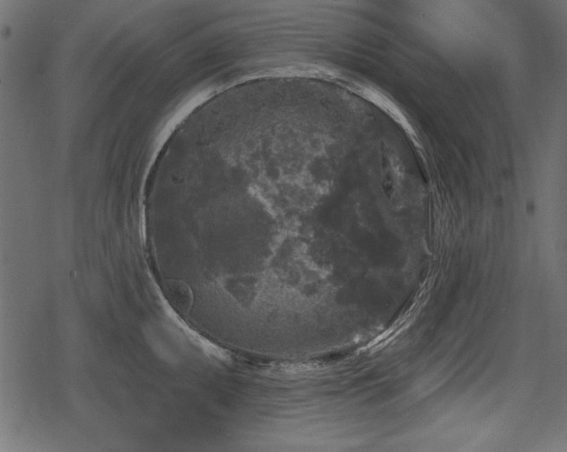 X0000078291095200611031225