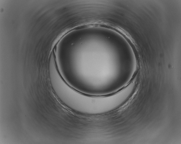 X0000078291097200611031225