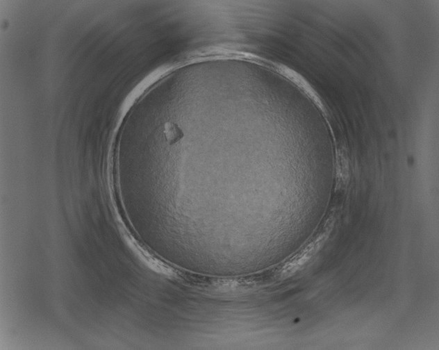 X0000078291098200611031225