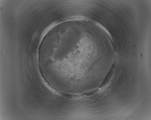 X0000078291099200611031225