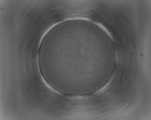 X0000078291100200611031225