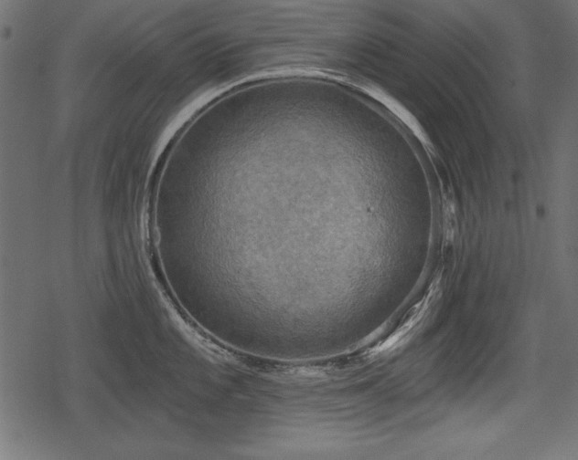 X0000078291101200611031225