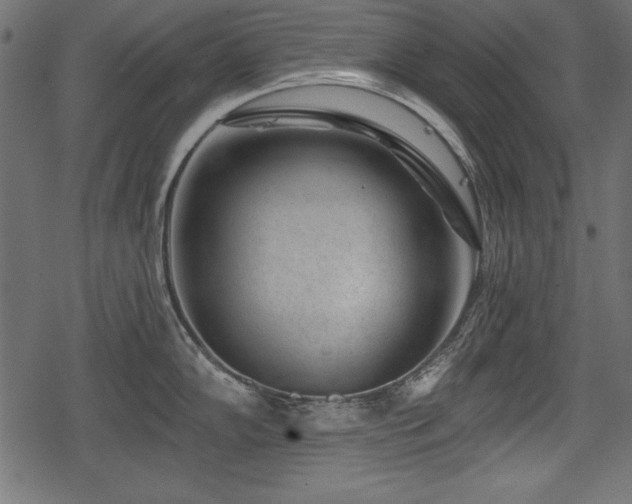 X0000078291102200611031225