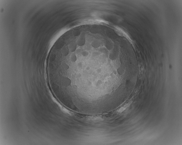 X0000078291103200611031225