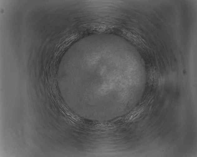 X0000078291105200611031224