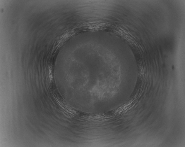 X0000078291106200611031224