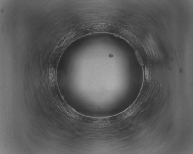 X0000078291107200611031224