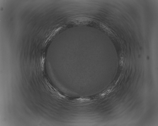 X0000078291108200611031224