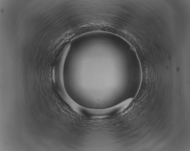 X0000078291110200611031224