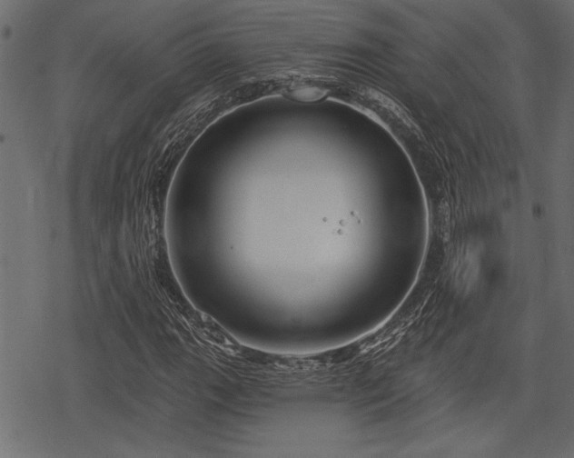 X0000078291111200611031224