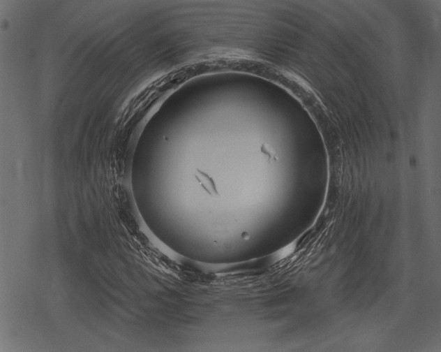 X0000078291112200611031224