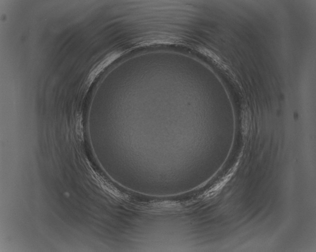 X0000078291113200611031224