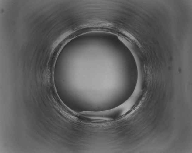 X0000078291114200611031224