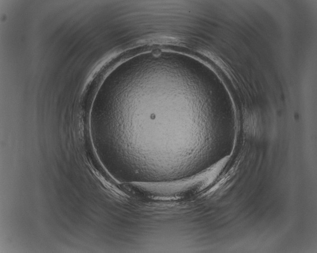 X0000078291115200611031225