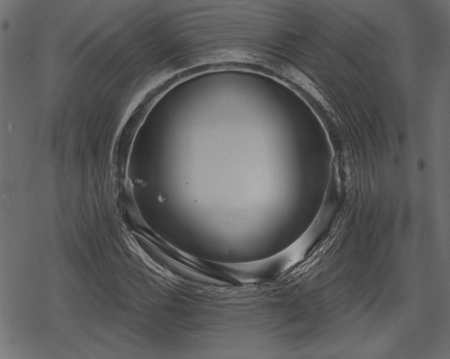 X0000078291116200611031225