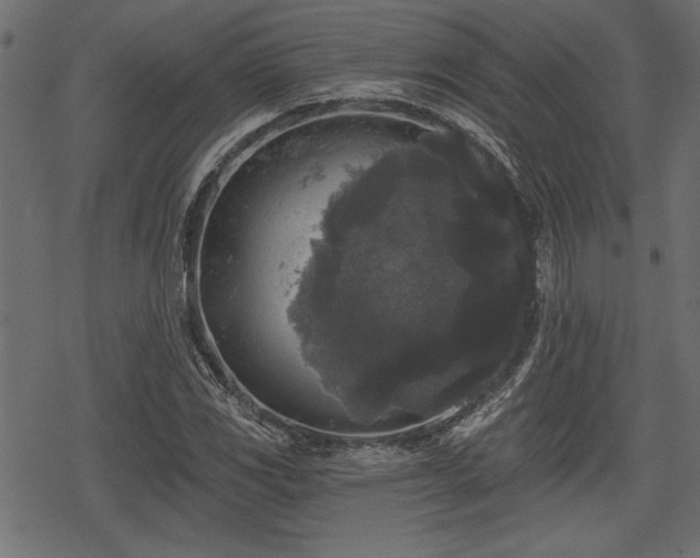 X0000078291117200611031225