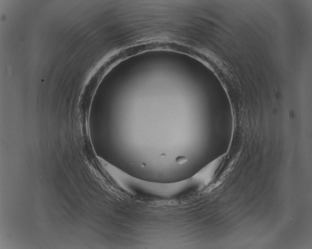 X0000078291118200611031225