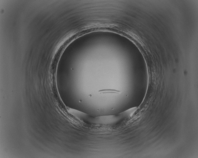 X0000078291119200611031225