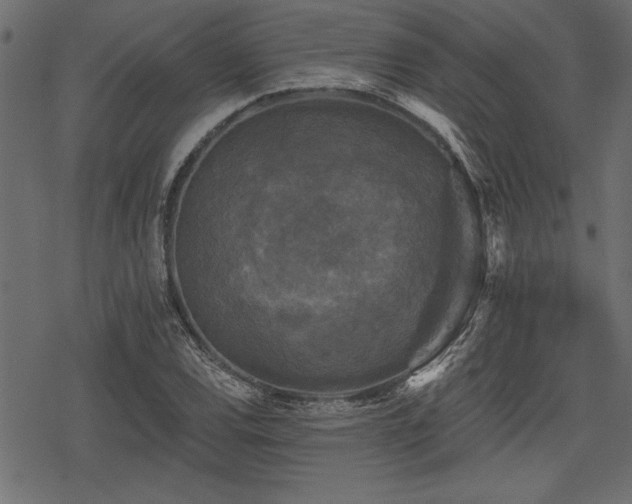 X0000078291120200611031225