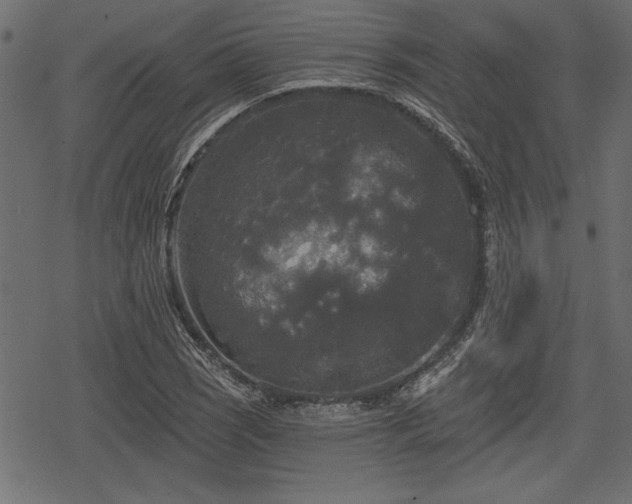 X0000078291121200611031225