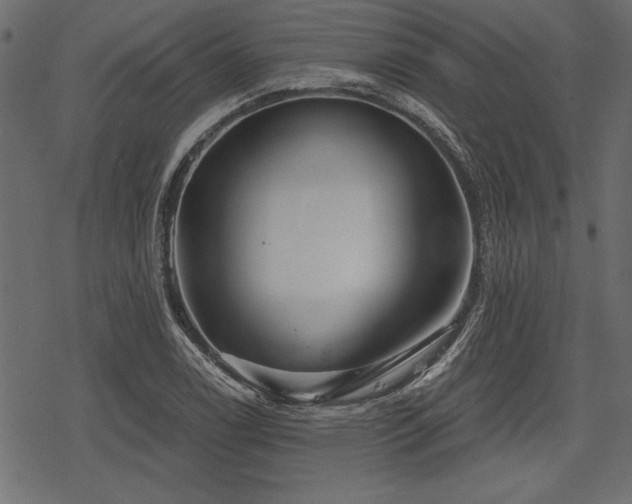 X0000078291122200611031225