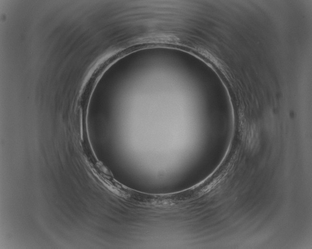 X0000078291123200611031225