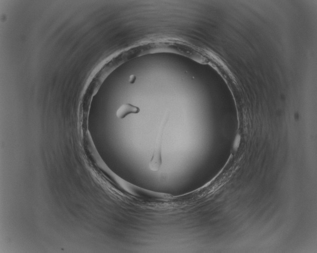 X0000078291124200611031225