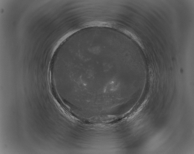 X0000078291125200611031225