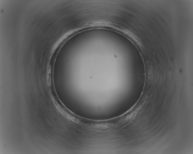 X0000078291126200611031225