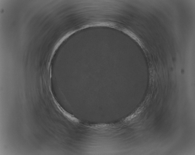 X0000078291127200611031225