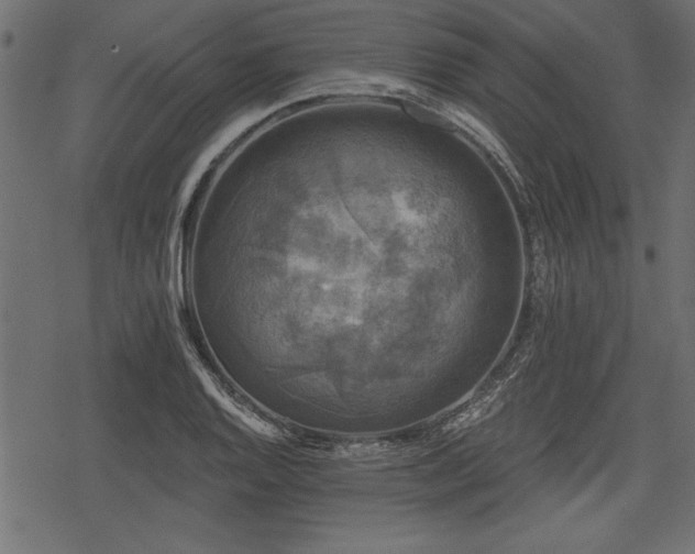 X0000078291128200611031225