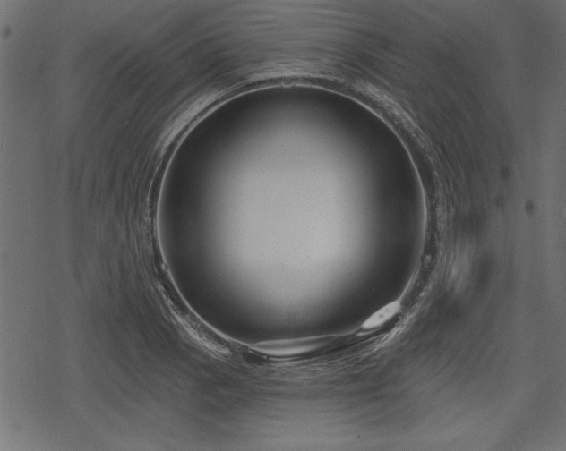 X0000078291129200611031225