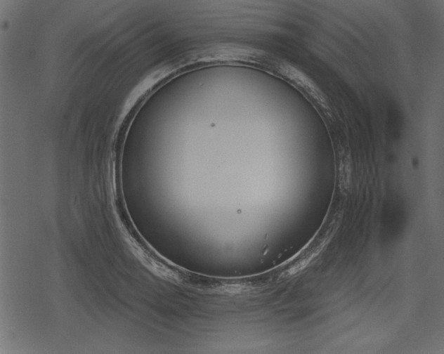 X0000078291130200611031225