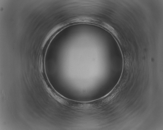 X0000078291131200611031225