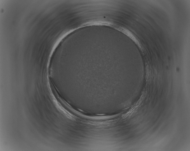 X0000078291132200611031225