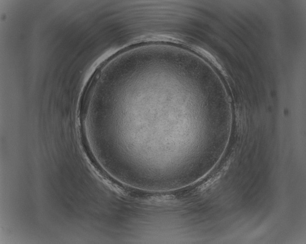 X0000078291133200611031225