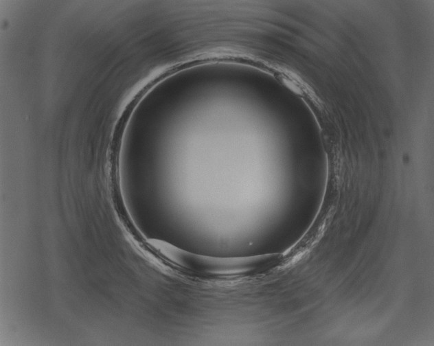 X0000078291134200611031225