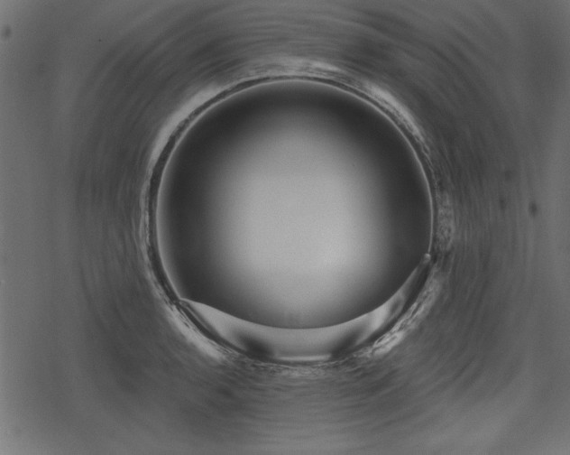 X0000078291136200611031225